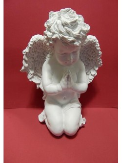 Anjo Branco Orando 